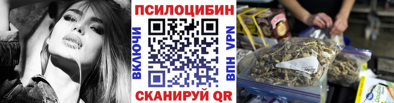 Псилоцибиновые грибы Psilocybe  нарко площадка официальный сайт  Шлиссельбург 